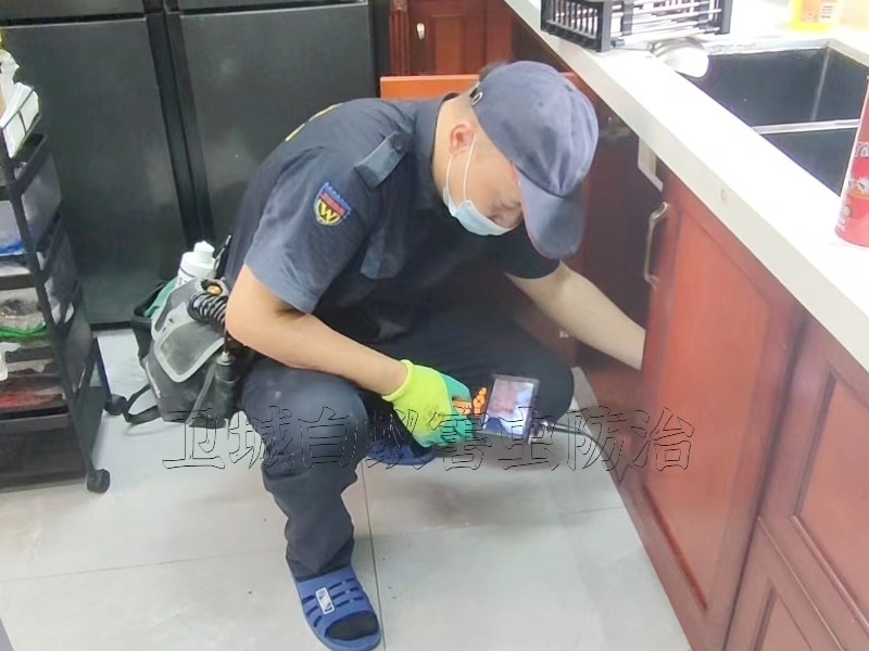 ���Ԥ�����Ϲ�˾������������ϣ����ǳ�����ѡ�����ǳ�ع�˾
